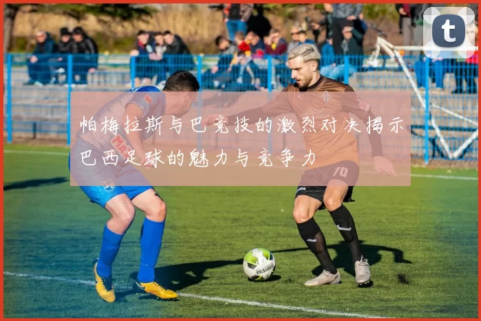 帕梅拉斯与巴竞技的激烈对决揭示巴西足球的魅力与竞争力