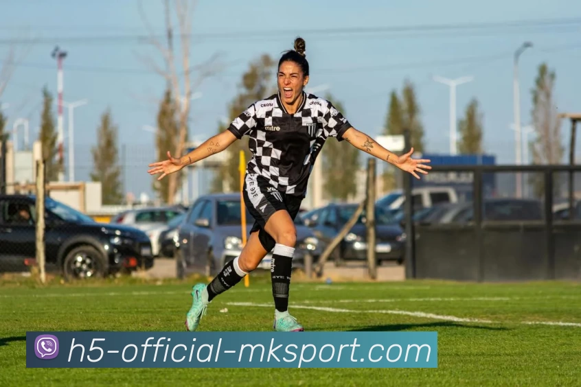 MK体育平台生态图