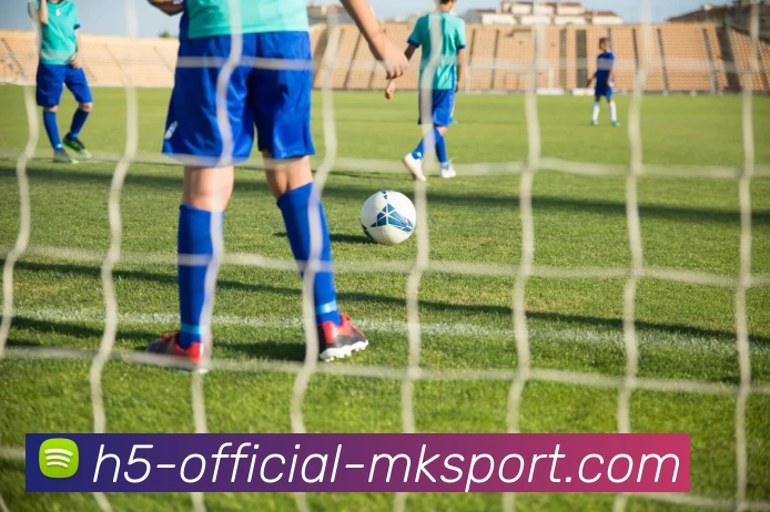 MK体育APP 封面图